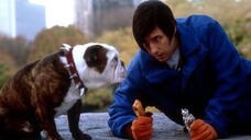 ลิตเติ้ล นิคกี้ ซาตานลูกครึ่งเทวดา Little Nicky