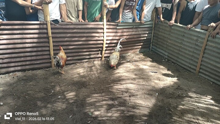 Isunubok ilaban ang kabig ang mga dalari sa kaliwang paa