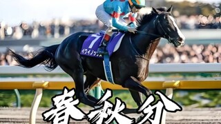 接下来登场的是：2023年世界马王——春秋分！！！