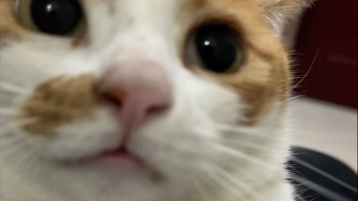 ทันทีที่สัมผัสพื้น