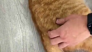 Pay attention to the head but not the buttocks