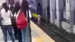 Subway Surfers in real life ?!?!!?!?
