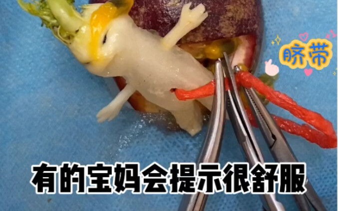 การมีลูกต้องผ่านด่านอะไรบ้าง?