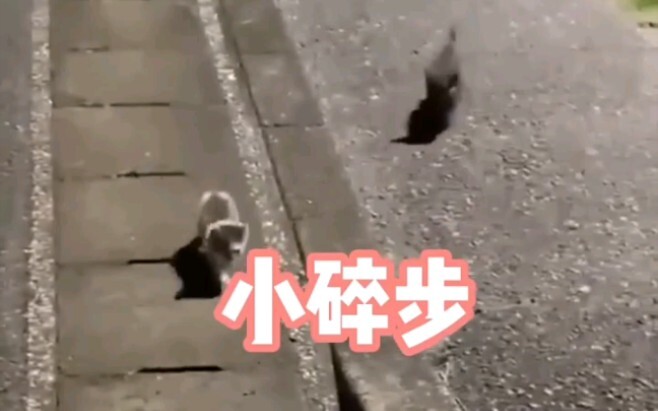 ชาวเน็ตกลับบ้านกลางดึก จู่ๆ ก็ถูกคนแปลกหนิตามติดไม่ยอมปล่อย ตกใจจนถือปลาสองตัววิ่งหนีกลับบ้านเลย!