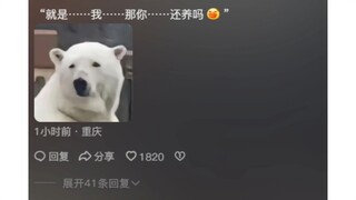 北极熊：就是……我……那你……还养吗