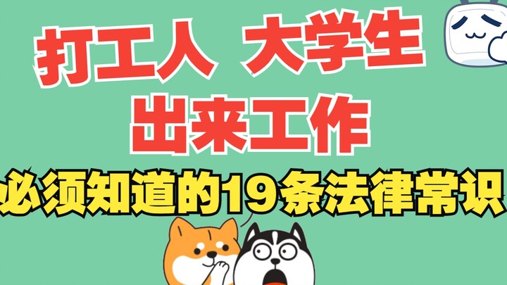 打工人职场人 大学生出来工作 必须要知道的19条法律常识~