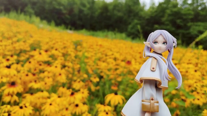 Accompanying Lady Fulilian to inspect the border areas of the Central Plains