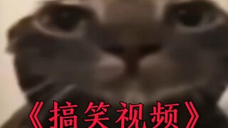 今日功德＋1