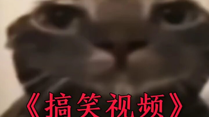 今日功德＋1