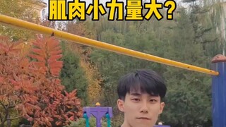 肌肉很小力量可以练得很大吗