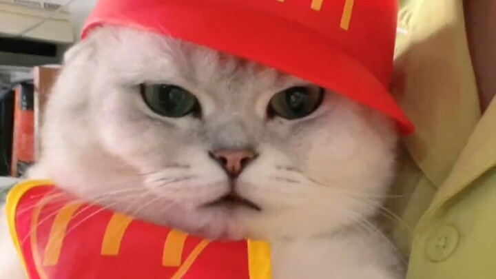 Employees at McDonald's like this absolutely need to be reported.