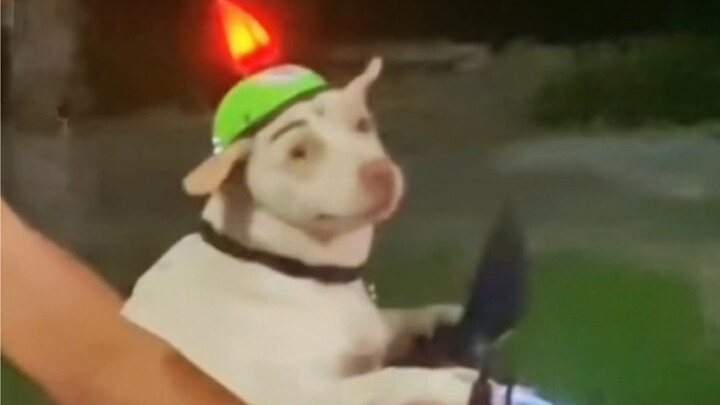 Why didn’t you say so earlier? We’ll see about that later.