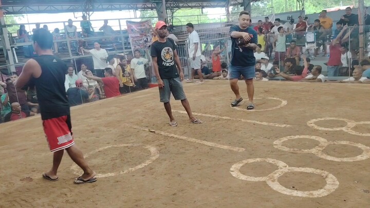 SKYSHOT GF CARDINAL CLUB KELSO SOBRANG TIBAY DRAG FIGHT