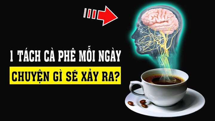 Uống Cafe mỗi ngày - Chuyên gì sẽ xảy ra bên trong cơ thể?