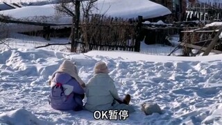 قطعتان صغيرتان من الجنوب جلستا في الثلج لأكثر من نصف ساعة.. الأخ الشمالي الشرقي: ألا يرفعون مؤخراتهم