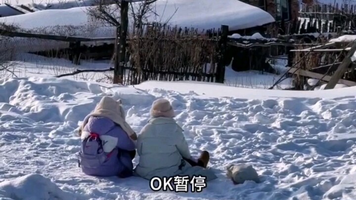 两个南方小土豆在雪地里坐了半个多小时  东北大哥：她俩不拔屁股吗？