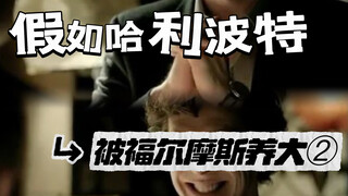 假如哈利波特被福尔摩斯长大2