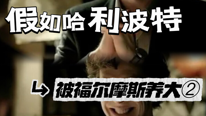 假如哈利波特被福尔摩斯长大2