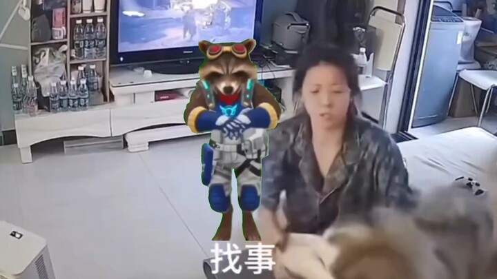 Raccoon Dancing
