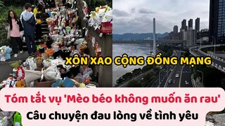 Tóm tắt vụ 'Mèo béo không muốn ăn rau': Câu chuyện đau lòng về tình yêu