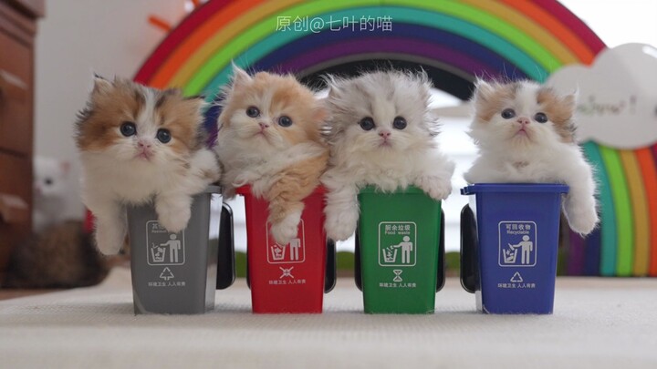 How should this “trash” be sorted?!