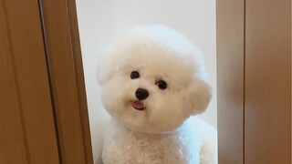 Captured some adorable moments.