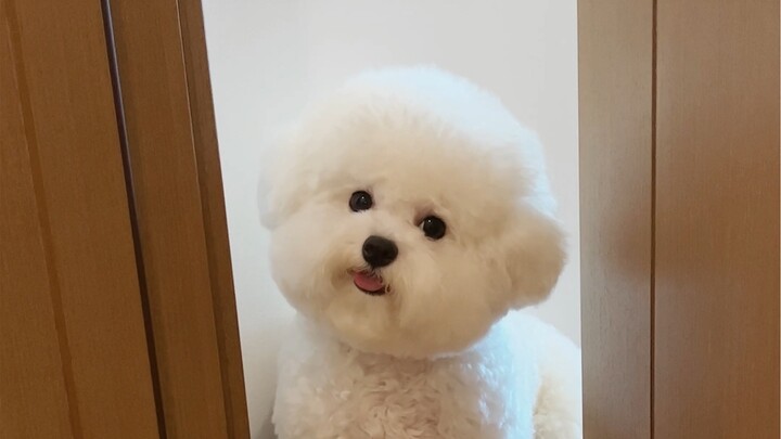 التقطتُ بعض اللحظات اللطيفة.