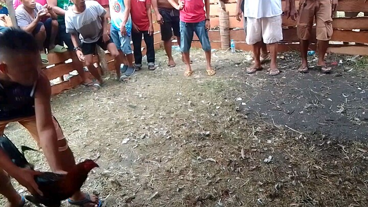 sayang naka sana Tayo nakaganti pa yon kalaban Patay Naman sana Ang kalaban talo Tayo