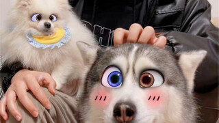 الآن تم ترتيب جميع أفراد الأسرة بوجوه كرتونية