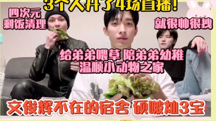 文俊辉不在的宿舍硕啵灿3宝！3个人开了4场直播！给弟弟喂草，剩饭清理！温顺小动物之家