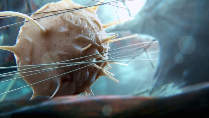 يغزو فيروس الالتهاب الرئوي جسم الإنسان، مُخلّفًا خلايا مثقوبة وممزقة، لكن طريقة تعامل الخلايا معه تث