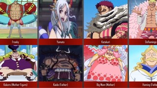 One Piece Characters and Their Parents