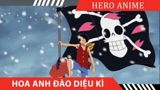 Review Phim One Piece tập 9  Hoa Anh Đào Diệu Kì của Hero Anime