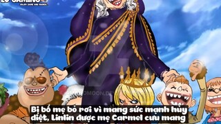 Top 7 Vương Quốc Kì Lạ Trong One Piece p2