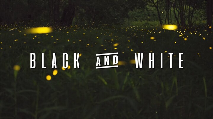 Niall Horan - Black and White (Lyrics)