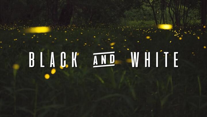 Niall Horan - Black and White (Lyrics)