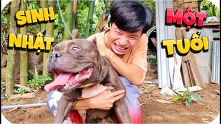 Tony | 1 Ngày Nuôi Chó Dữ 🐶 𝐃𝐨𝐠 𝐓𝐫𝐚𝐢𝐧𝐢𝐧𝐠