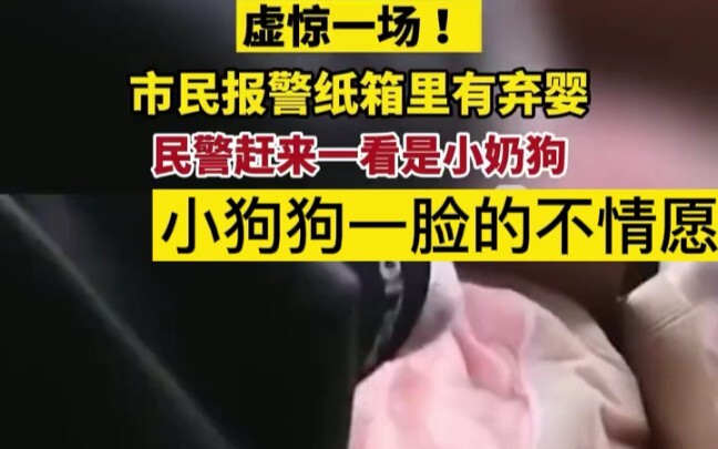 纸箱里有宝宝，民警赶来虚惊一场。