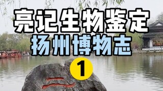 [التحديد البيولوجي لـ Liangji] مجموعة متنوعة من الزهور البرية الصغيرة على الأشجار والأرض والمنازل في