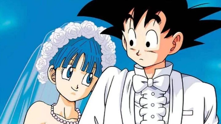 Bulma: Tuan Sun, saya [secara bertahap tertarik pada Anda]