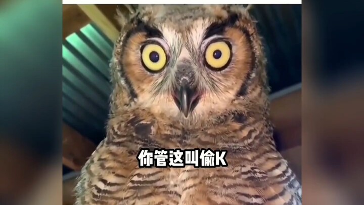 Netizens’ hilarious comments