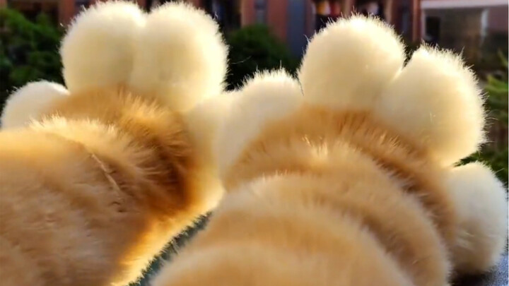 โปรดแท็กสาวที่น่ารักที่สุดในโลก