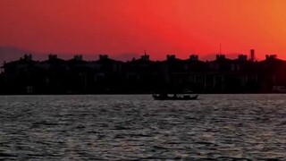 Tình bạn thực sự là gì: