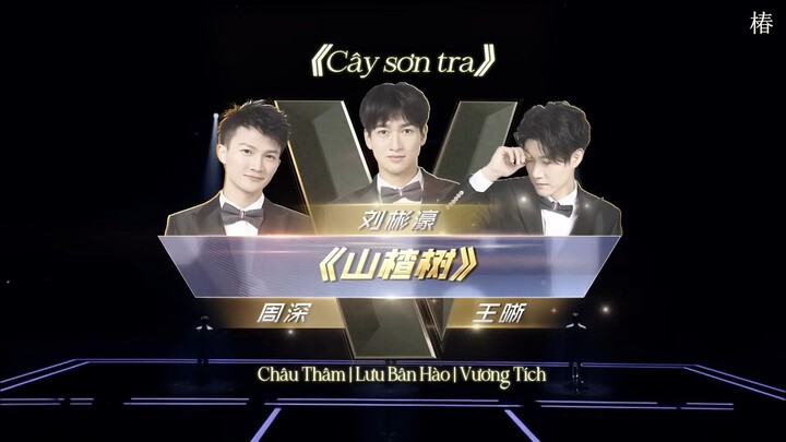 [SRRX] Cây sơn tra | Vương Tích, Châu Thâm, Lưu Bân Hào