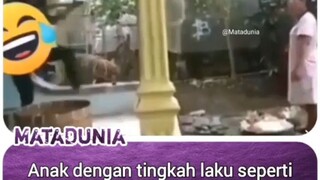 adek gua itu