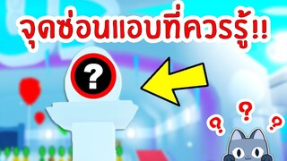 จุดซ่อนแอบที่คุณควรรู้ (มั้ย??) | Roblox Pet Simulator X 🐾