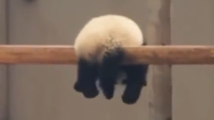 “ยาก หอยแครง”❹⓿