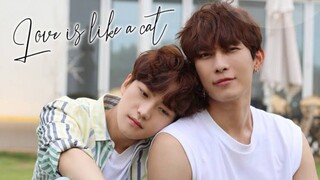 𝗟𝗼𝘃𝗲 𝗜𝘀 𝗟𝗶𝗸𝗲 𝗔 𝗖𝗮𝘁 | Episode 11 ENGSUB