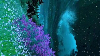 HealingScenery