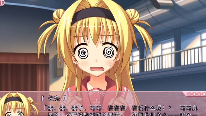 无论如何都要的话，当哥哥的妻子也可以哦！